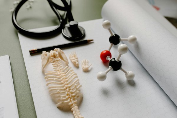 Obésité et alimentation: busting the myth of manger moins pour peser moins